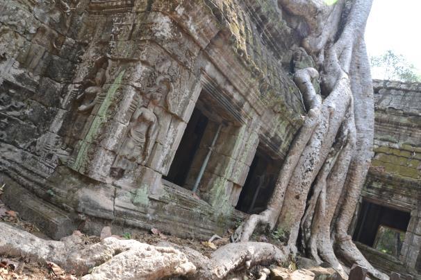 nap: SIEM REAP A VIDÉKI ÉLET FARMLÁTOHATÁS ANGKOR TEMPLOMAI Kora reggel, ellátogatunk egy bio farmra, ahol megismerkedhetünk a kambodzsai mezőgazdasággal, majd ökrös szekerekre pattanunk, és onnan