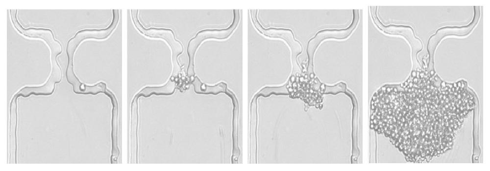 Magyar Kémiai Folyóirat - PhD összefoglalók 153 DOI: 10.24100/MKF.2017.03.