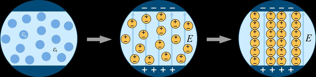 Electro- (ER) and magnetorheological (MR)