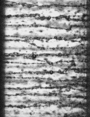 magnetic analogue: MR fluid (µm sized