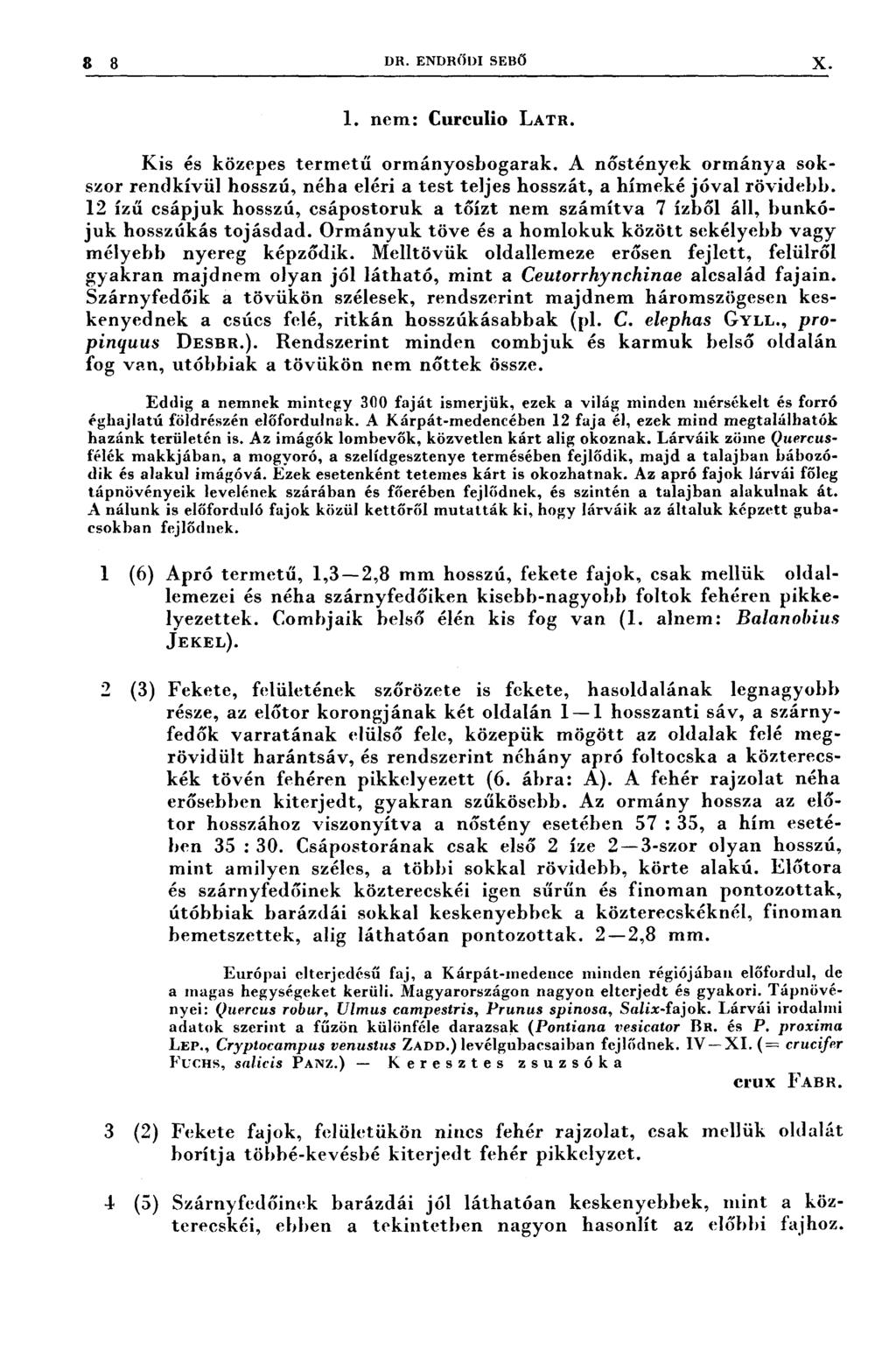 3 3 DR. ENDRÖDI sseö X 1. nem: Cureulio LATR. Kis és közepes termetű ormányosbogarak. A nőstények ormánya sokszor rendkívül hosszú, néha eléri a test teljes hosszát, a hímeké jóval rövidebb.