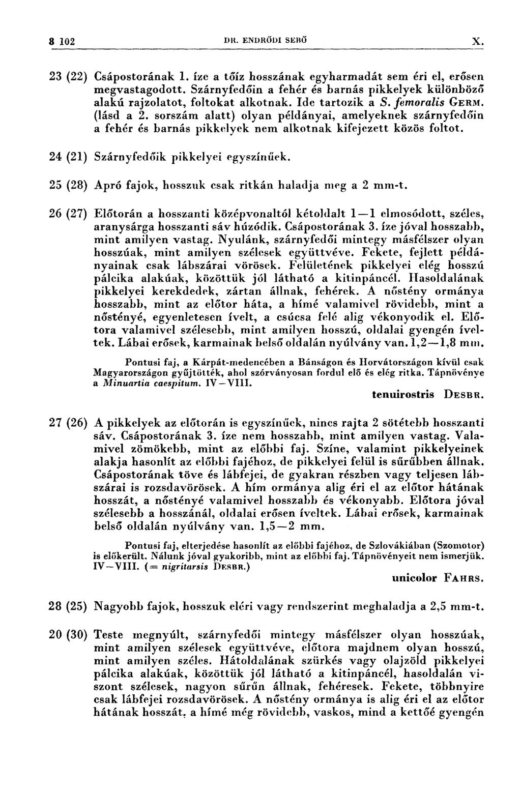 3 102 D11. ENDRÖDI SEBŐ X 23 (22) Csápostorának 1. íze a tőíz hosszának egyharmadát sem éri el, erősen megvastagodott.