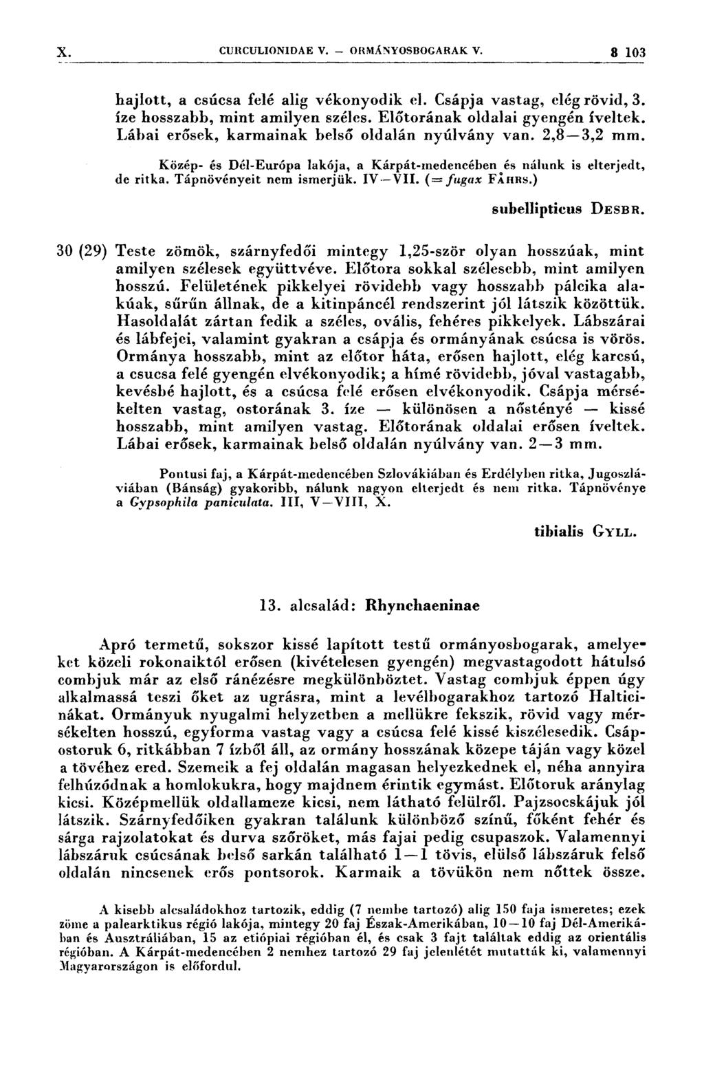 }ç cuııculıonıdae v. ORMÁNYOSBOGARAK v. 3 103 hajlott, a csúcsa felé alig vékonyodik el. Csápja vastag, elég rövid, 3. íze hosszabb, mint amilyen széles. Előtorának oldalai gyengén íveltck.