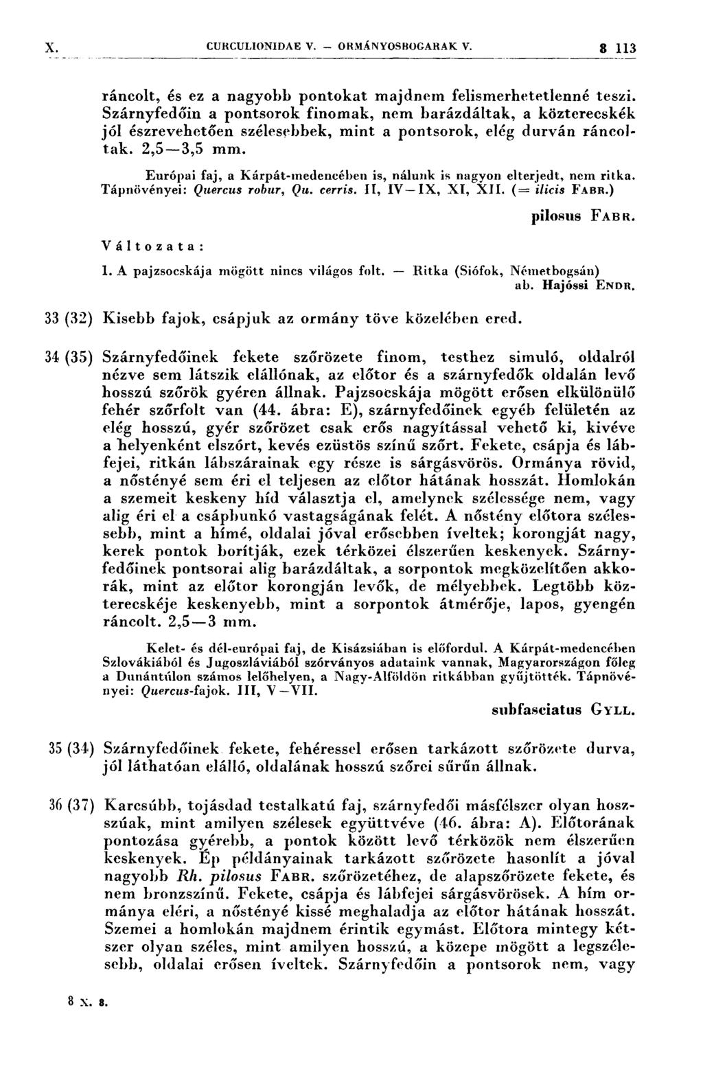 CURCULIONIDAE V. ORMÁNYOSBOGARAK V. 3 113 ráncolt, és ez a nagyobb pontokat majdnem felismerhetetlenné teszi.