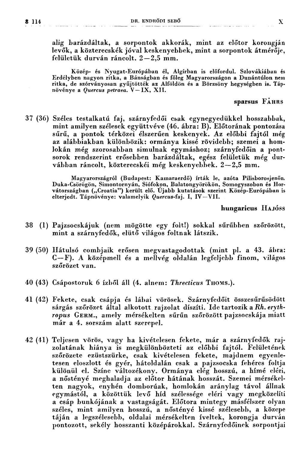3.114 DR. ENDRŐDI SEBŐ X alig barázdáltak, a sorpontok akkorák, mint az előtor korongján levők, a közterecskék jóval keskenyebbek, mint a sorpontok átmérője, felületük durván ráncolt. 2-2,5 mm.