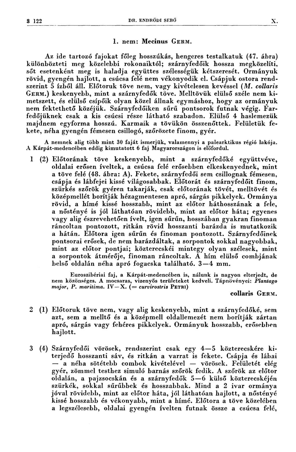 3 122 DR. ENDRÖDI SEBŐ X 1. nem: Mecinus GERM. Az ide tartozó fajokat főleg hosszúkás, hengeres testalkatuk (47.