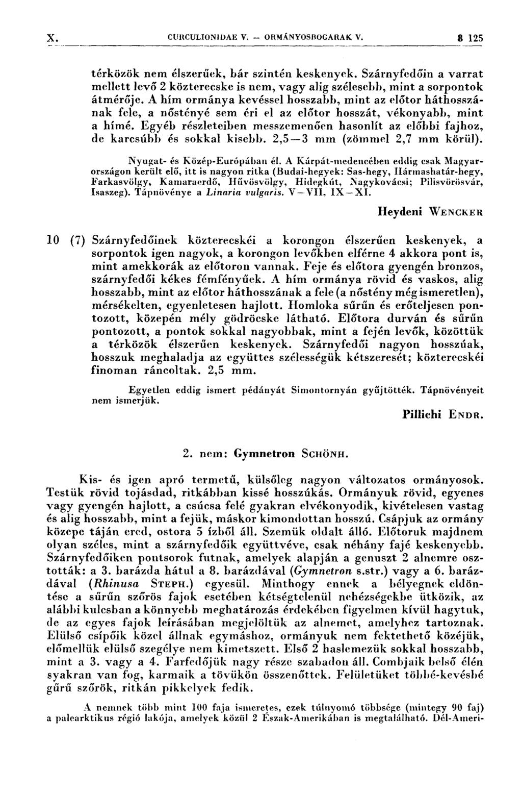 X, CURCULIONIDAE V. ORMÁNYOSBOGARAK V. 3 125 térközök nem élszerűek, bár szintén keskenyek. Szárnyfedőin a varrat mellett levő 2 közterecske is nem, vagy alig szélesebb, mint a sorpontok átmérője.