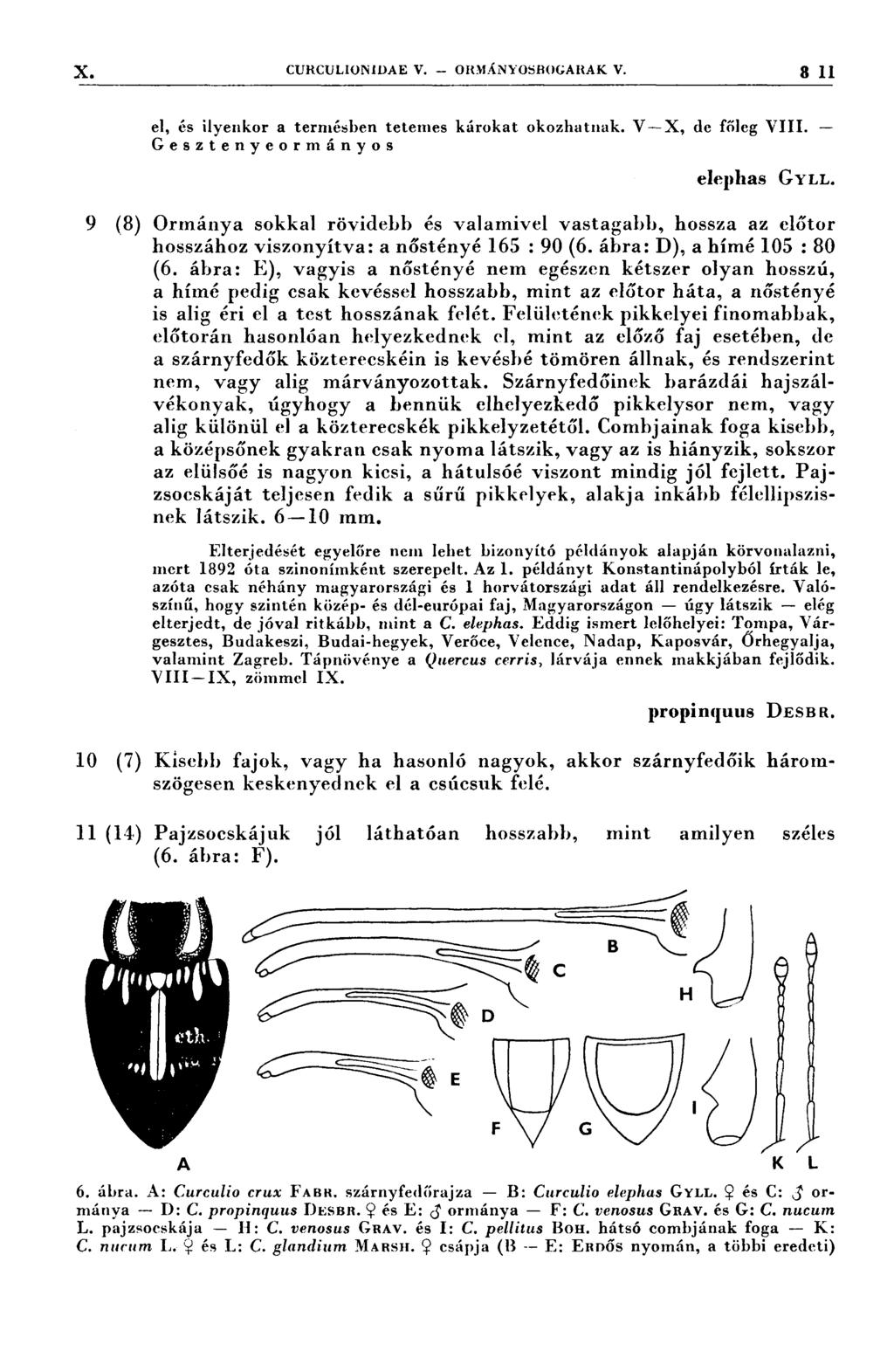 X cur(;ulıon1dae v. or.n.ányosrocaııak v. 3 11 el, és ilyenkor a ternıésben tetenıes károkat okozhatnak. V-X, de főleg VIII. - Gesztenyeormányos 2 eleplıas GYLL.