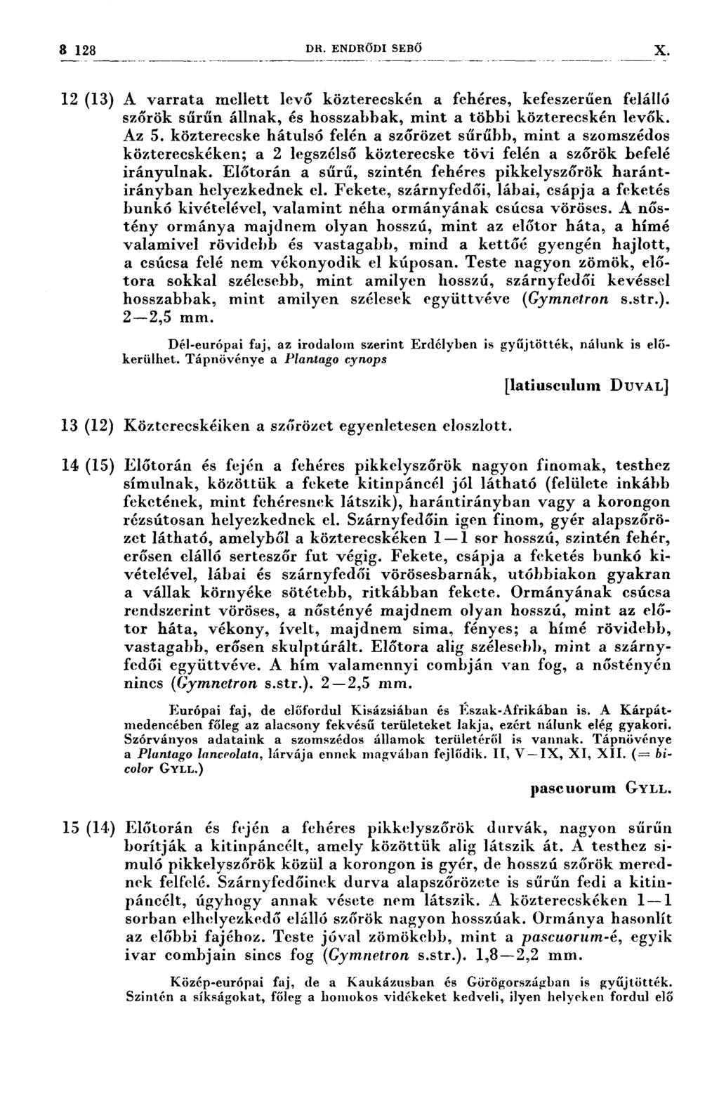 8 128 DR. ENDRŐD1 SEBŐ X ıx-ıı---i 7-ı-i-ı-.-ı~-ı---.--- 777... 4...-, 7- --77 ;7:: ~. --- 777 ;-- 77777,- 7;. -z-7 1,7 --..- - 777 7-- 777-.