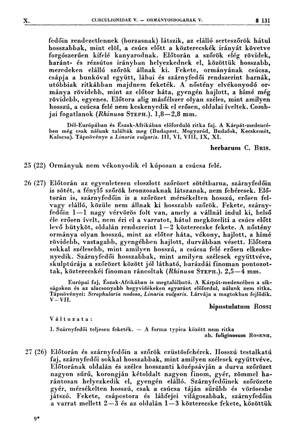 ' X. curcul1on1dae v. - ORMÁNYOSDOOARAK V. 3 131 J ıı *I ııııı -1 ıııl Zılll ıı ım `ı.