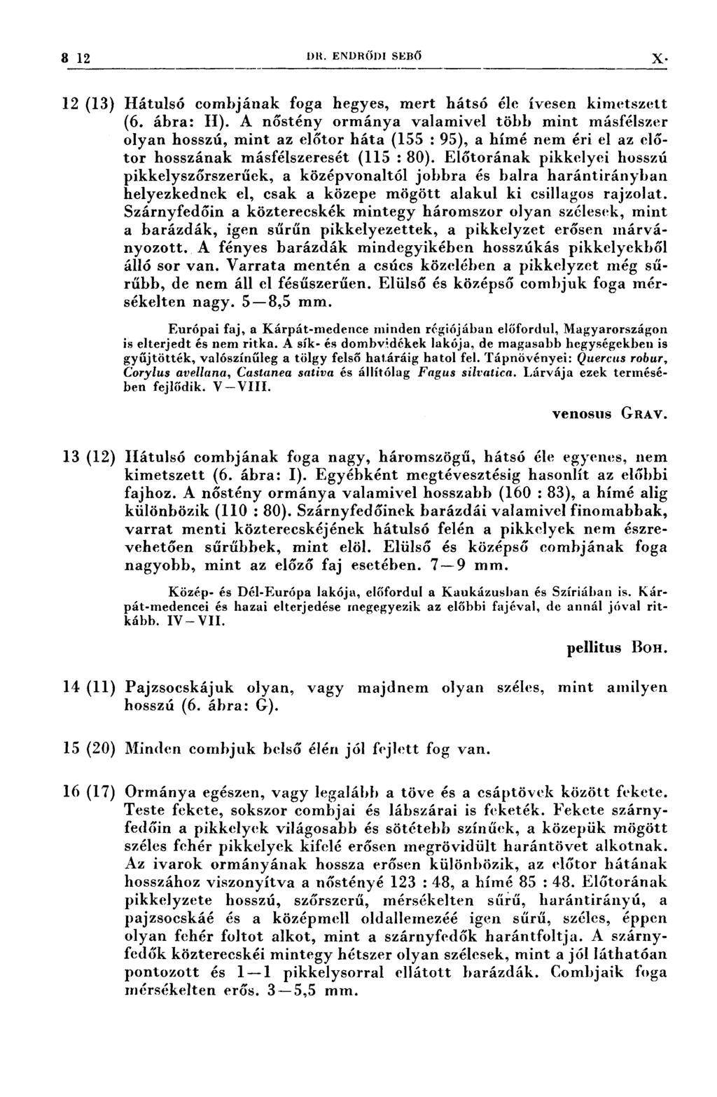 812 DR. ENDRŐDI SEBŐ X. Lnýý 7* ;~ 7 7: 7,,4T, ; :7ı-ı 7 4;, v 77*f,,, ııııııv 1 " 7,.