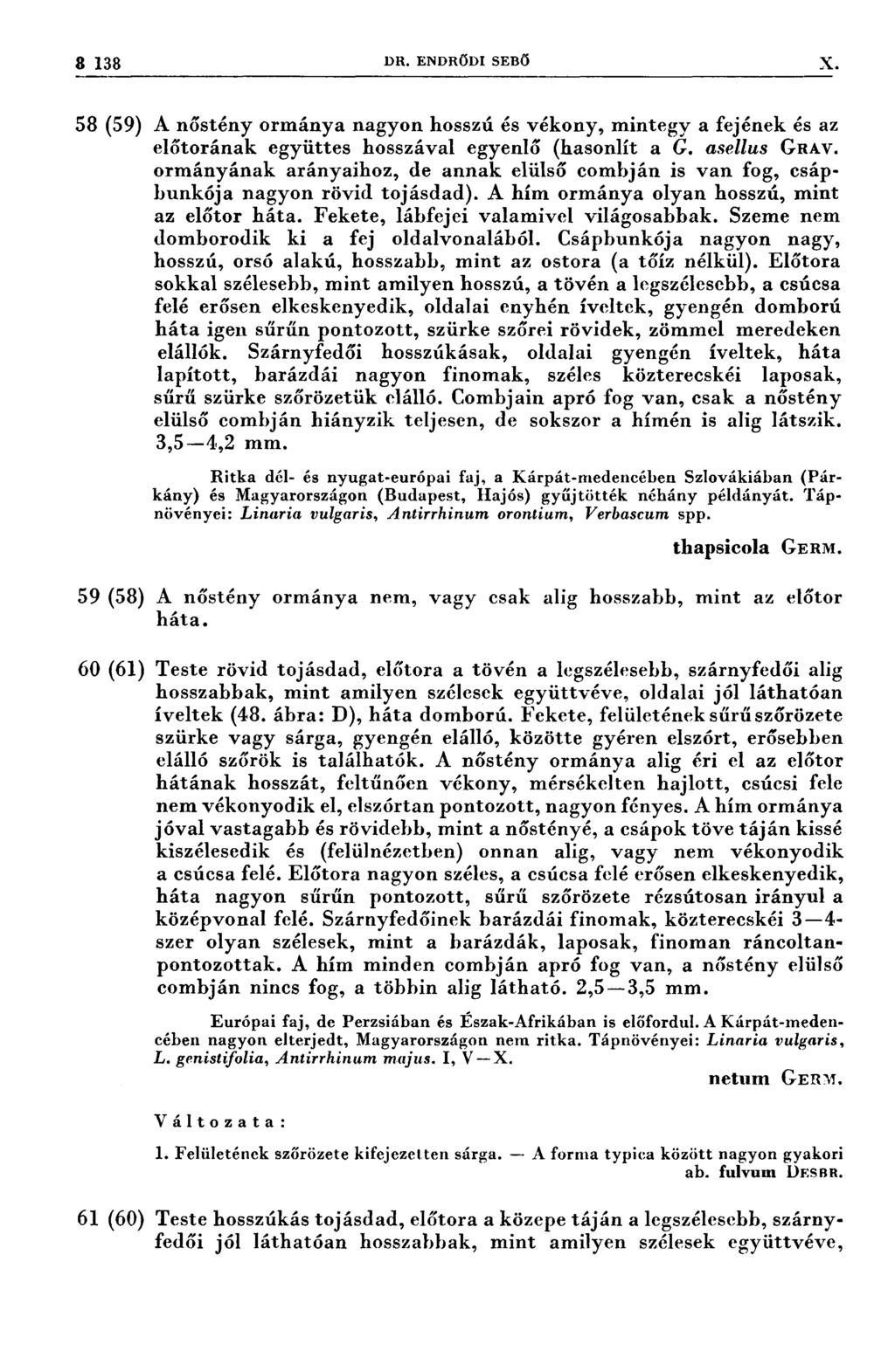 ŠUÉ3-58 (89) DR. ENDRŐDI SEBÖ A nőstény ormánya nagyon hosszú és vékony, mintegy a fejének és az előtorának együttes hosszával egyenlő (hasonlít a G. asellus GRAV.