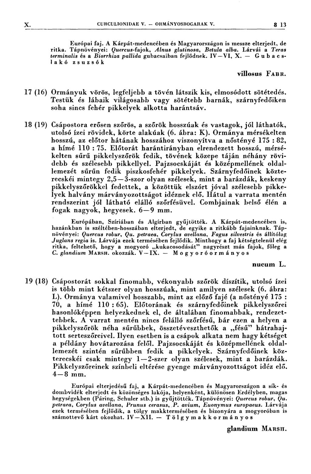 X. cuı~:cul1onıdae V... omvı.s.nyosı;0oanak v. 3 13 Európai faj. A Kárpát-medencében és Magyarországon is messze elterjedt, de ritka. Tápnövényei: Quercus-fajok, Alnus glutínosa, Betula alba.
