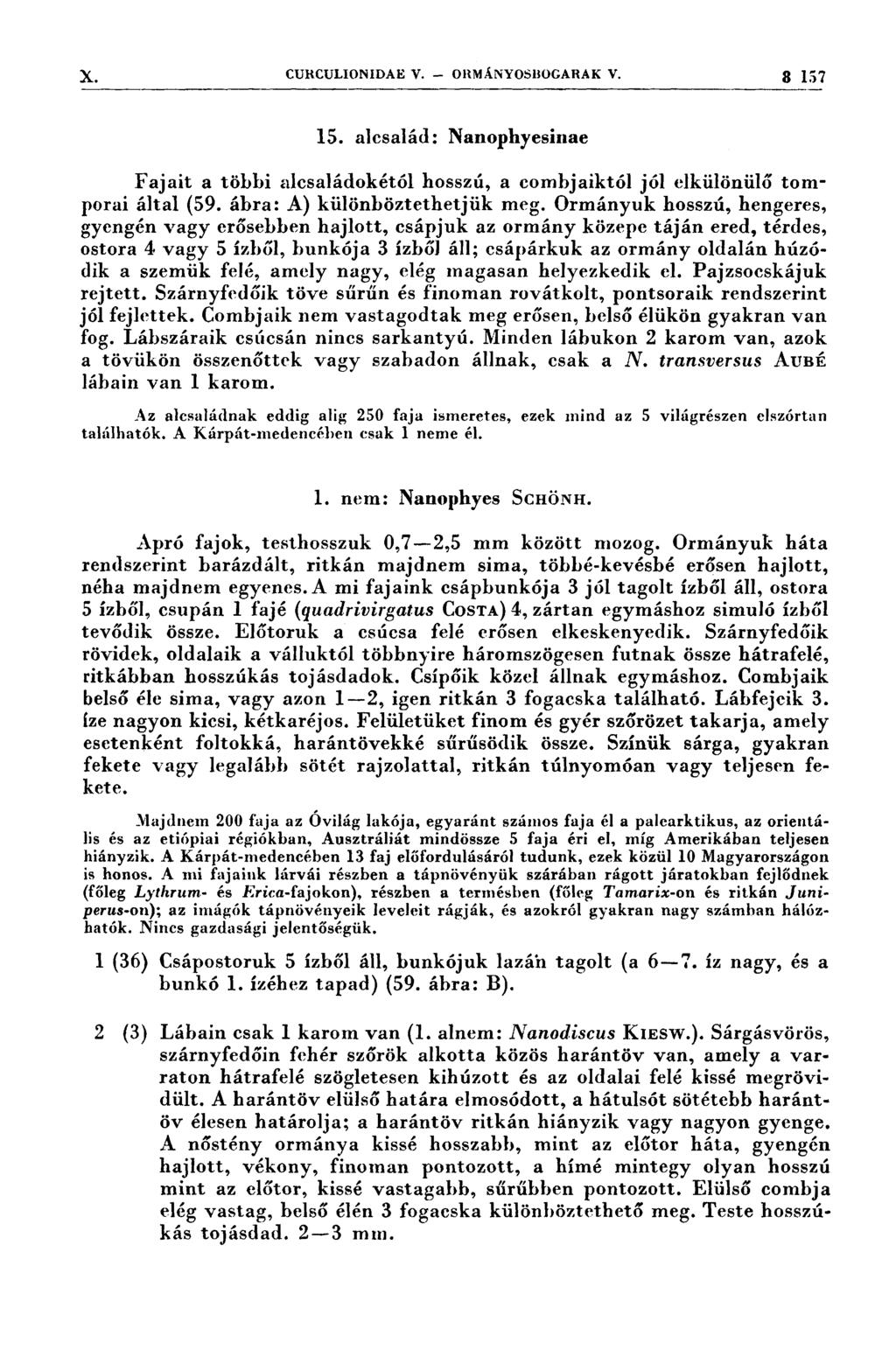 X. CURCULIONIDAE V. - om\«ıányosısocarak v. 3 157 15. alcsalád: Nanophyesinae Fajait a többi alcsaládokétól hosszú, a combjaiktól jól elkülönülő tomporai által (59. ábra: A) különböztethetjük meg.