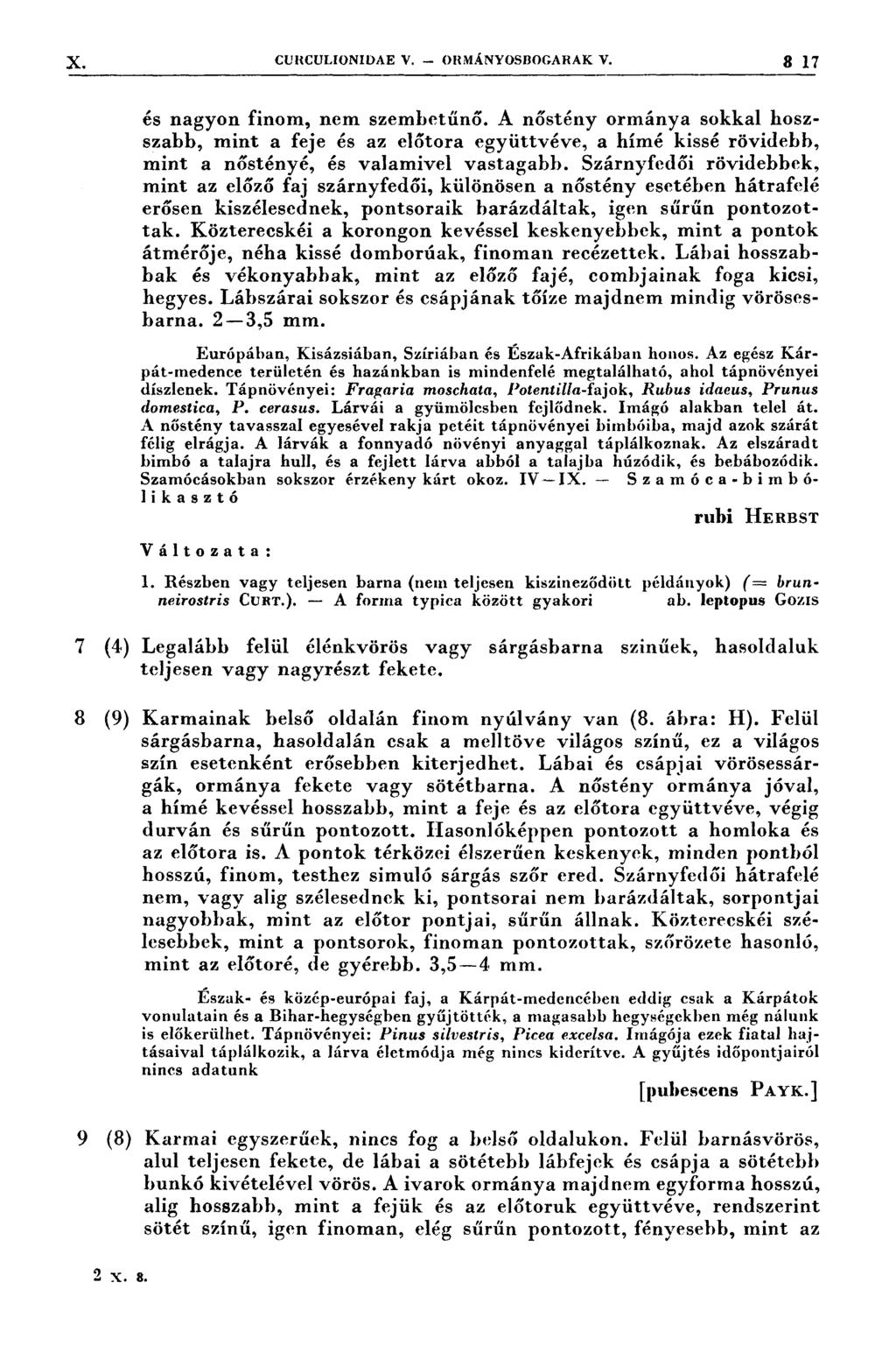 X; 7 (4.) 3 (9) 9(8 cunculıonıdae v. - ORMÁNYOSDOGARAK V. 3 17 7 777 : 7 7 777 r y 7 77 'Í 1. 1 777f 7777 7 7 r. 7 1 77 IH? 7 `Ir7"ıés nagyon finom, nem szembetűnő.