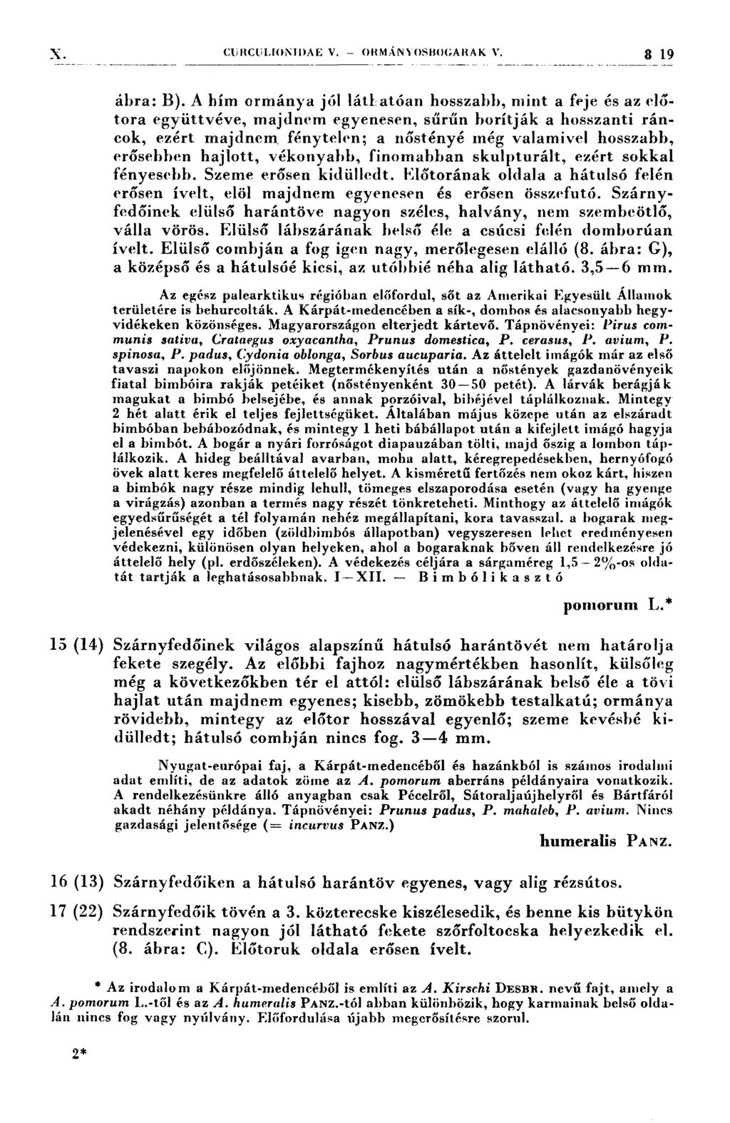 -. \.ııí cl1ııcul1(ı1\`ı1ı.»\ı=;v. ()1m.iN\osnocAnAK v. 3 19 ábra: B).