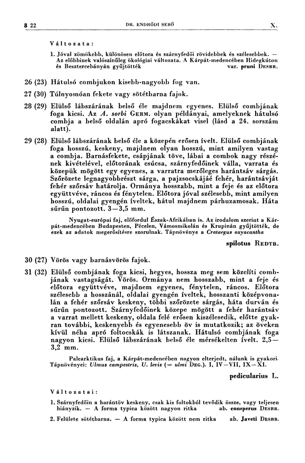 3 22 DR. ENDRÖDI srınö X r : 1:7 7 1' 77 t 7;7 Ar ; 77Í 7 7` Í 7 ; 7 7., Változata: 1. Jóval zömökcbb, különösen előtora és szárnyfedői rövidebbek és szélesebbek.