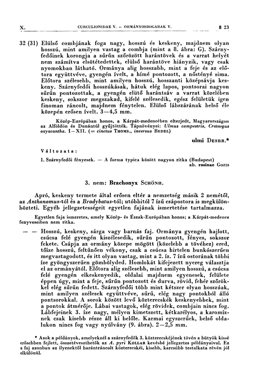 X. CUı<cUL1oNıDAE V... onnányosuo(;arak V. 3 23 Í z zí 77 - - ~7~--77-W 77-7T - 7 :; ~- - : 777- Í- 7ı7-77 7ı ---- --.11-- --.