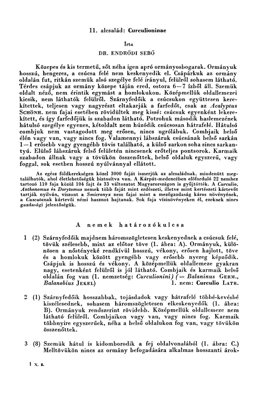 ll. alcsalád: Curculioninae Írta DR.ENDRŐDısEBŐ Közepes és kis termetű, sőt néha igen apró ormányosbogarak. Ormánynk hosszú, hengeres, a csúcsa felé nem keskcnyedik el.
