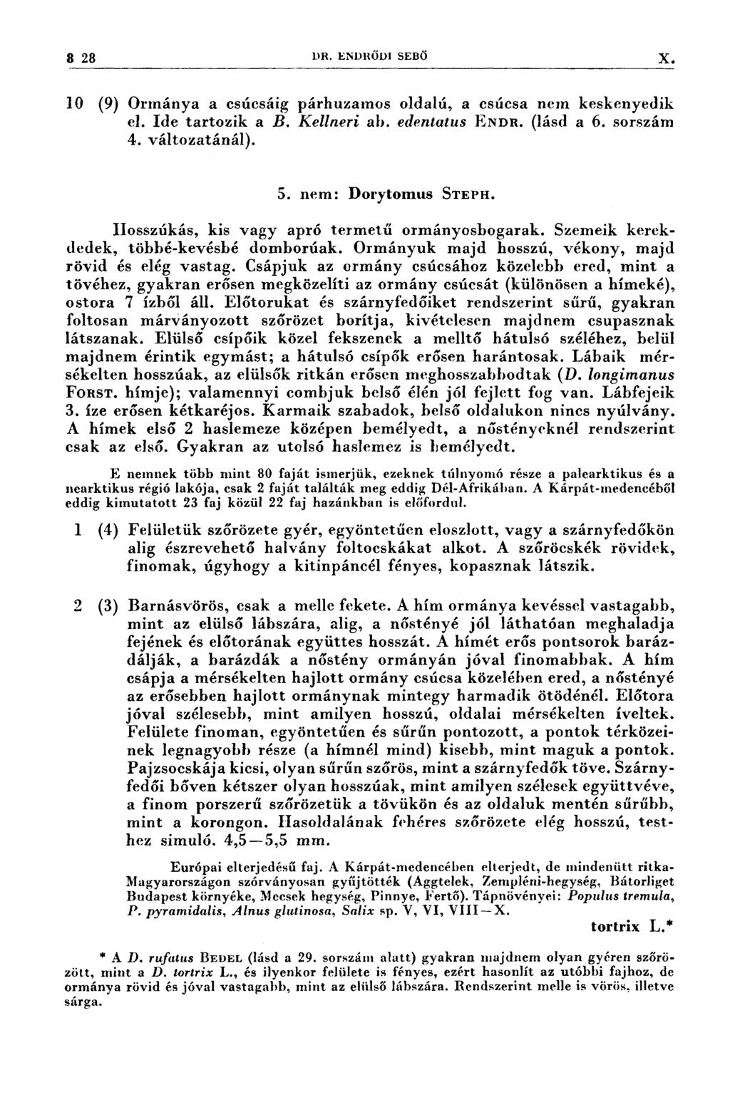 3 23 DR. ENDRöDı SEBŐ X 10 (9) Orınánya a csúcsáig párhuzamos oldalú, a csúcsa nem keskenyedik el. Ide tartozik a B. Kellneri ab. edentatus ENDR. (lásd a 6. sorszám 4. változatánál). 5.