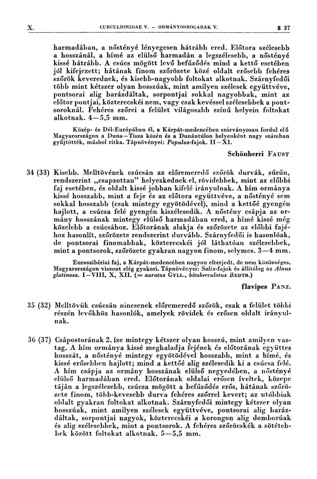cur(:ulıonıdae v.. onmányoseocarak V. 3 37 harmadában, a nőstényé lényegesen hátrább ered. Előtora szélesebb a hosszánál, a hímé az elülső harmadán a legszélesebb, a nőstényé kissé hátrább.