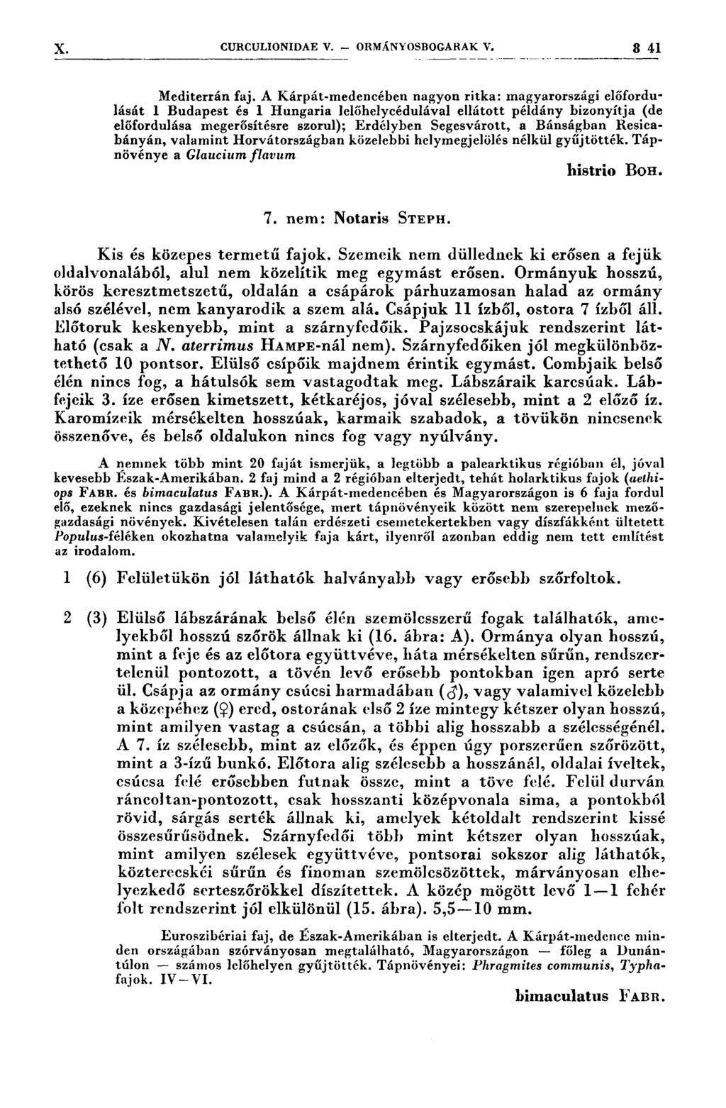 X CURCULIONIDAE V. - ORMÁNYOSBOGARAK v. 3 4,1 Mediterrán faj.