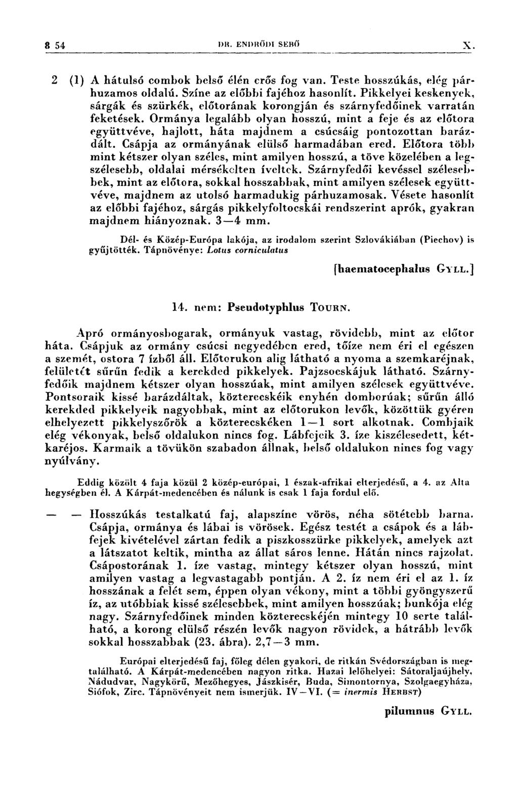 t 3 54, DR. ENDRŐDI sısnö X 2 (1) A hátulsó combok belső élén erős fog van. Teste hosszúkás, elég párhuzamos oldalú. Színe az előbbi fajéhoz hasonlít.