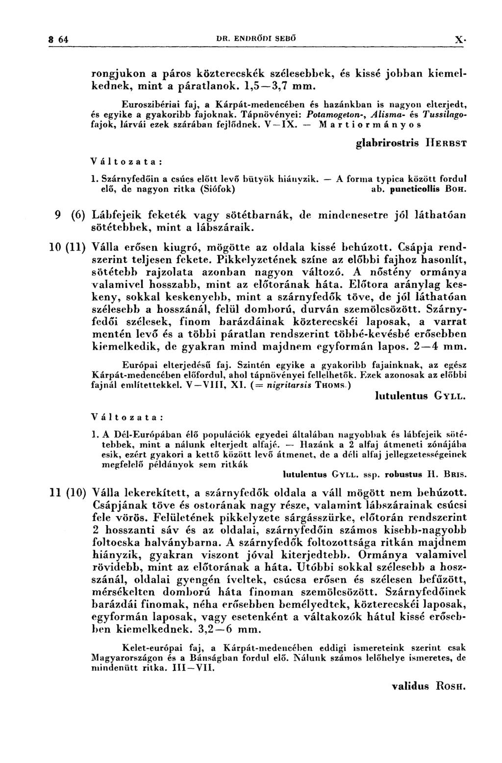 Š? 641 DR. ENDRŐDI sl-:nö X. rongjukon a páros közterecskék szélesebbek, és kissé jobban kiemelkednek, mint a páratlanok. 1,5-3,7 mm.