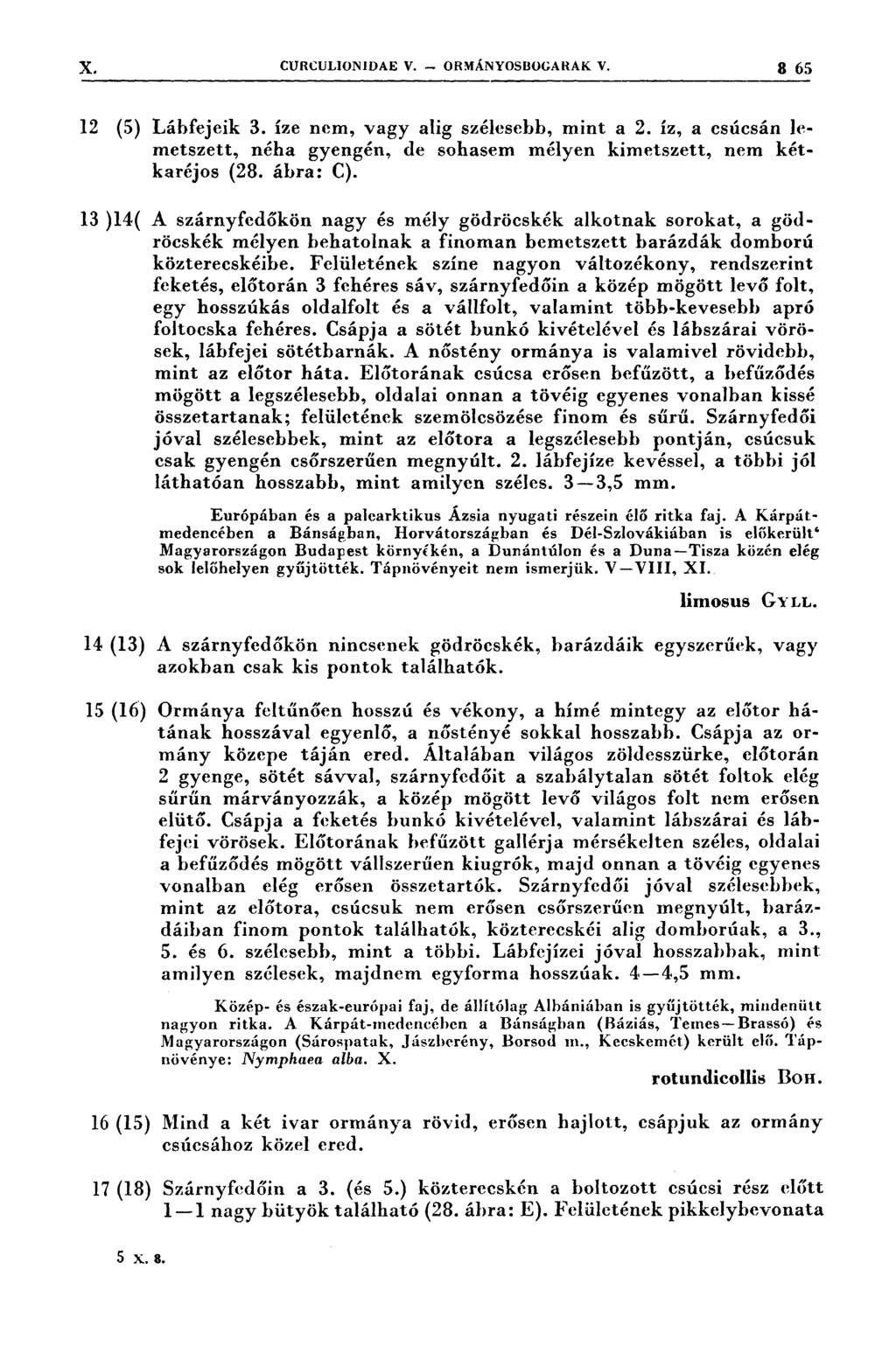 X. curculıon1dae V.. ORMÁNYOSBOGARAK V. 3 65 717; 7, 7 7 tini 1 * 7 ir* *vál *tb 12 (5) 13 )14( Lábfejeik 3. íze nem, vagy alig szélesebb, mint a 2.