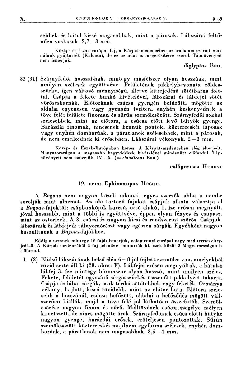 X (:ı:m:1:ı.ıonıdae v. om~ıánvosım<;arak v. 3 69 - f, ;,,.: ýzí.,... zz Í, i --,,-;zízz -..zý -..z- - --.--- - Y ~ ~ :-- i* ; * ;fl sebbek és hátul kissé magasabbak, mint a párosak.