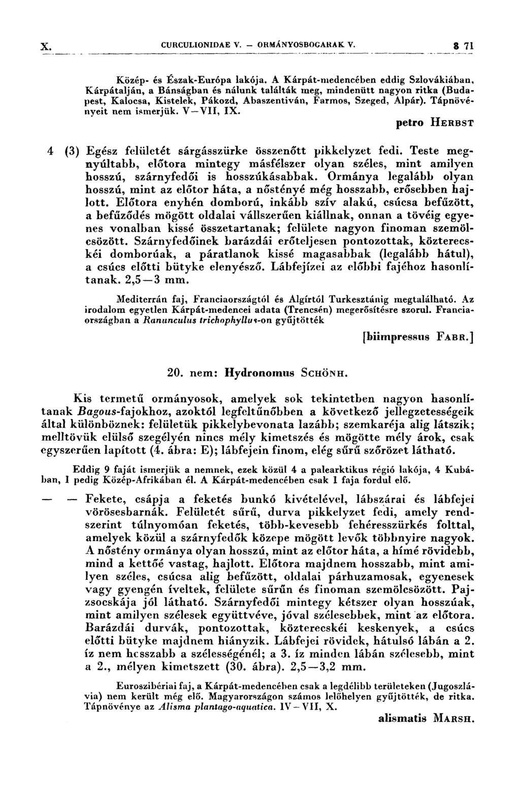 X CURCULIONIDAE v.. ORMÁNYOSEOGARAK V. 3 71 Közép- és Észak-Európa lakója.