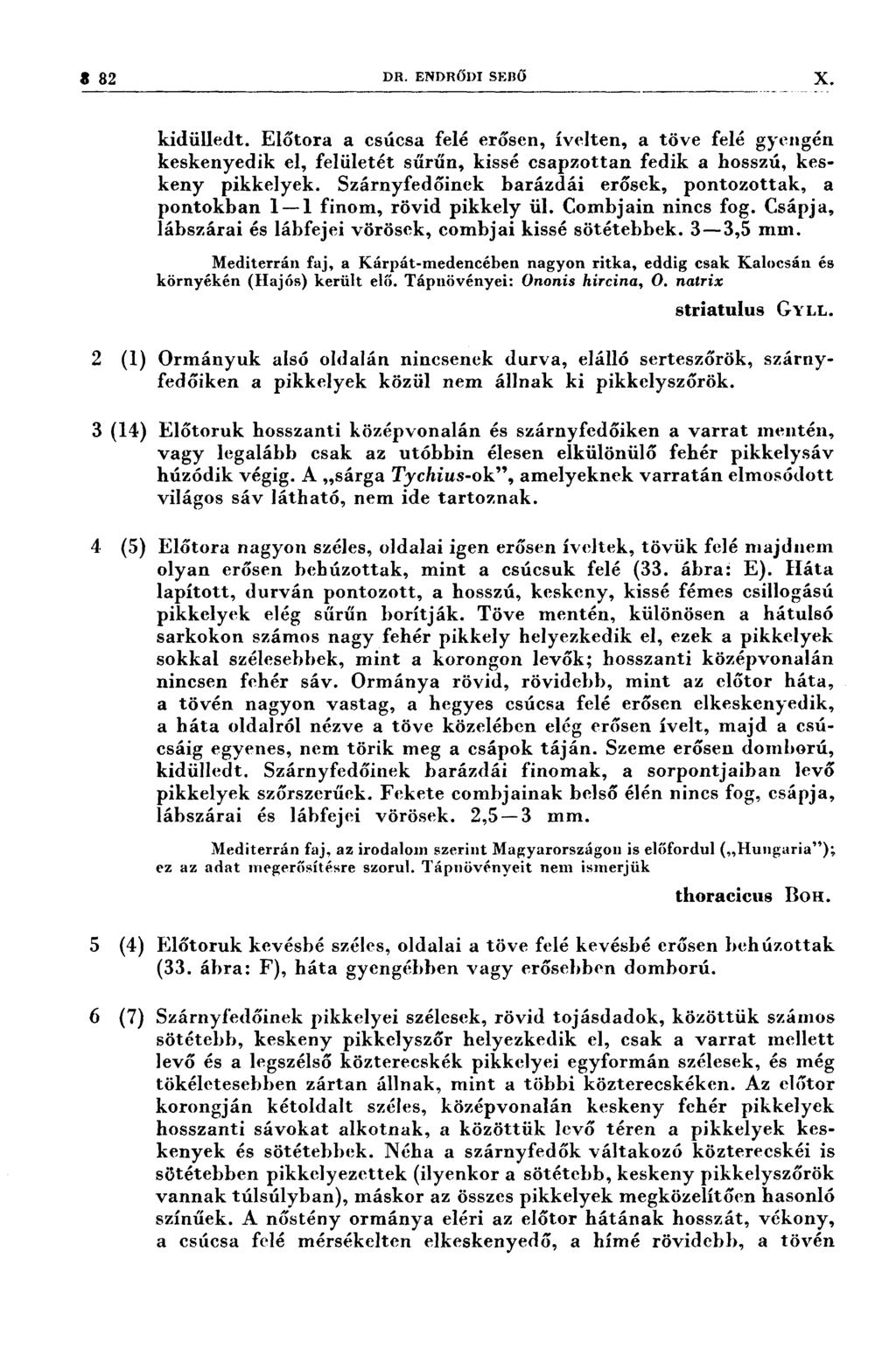 8 82 DR. ENDRŐDI ssııö )( kidülledt. Előtora a csúcsa felé erősen, ívelten, a töve felé gyengén keskenyedik el, felületét sűrűn, kissé csapzottan fedik a hosszú, keskeny pikkelyek.