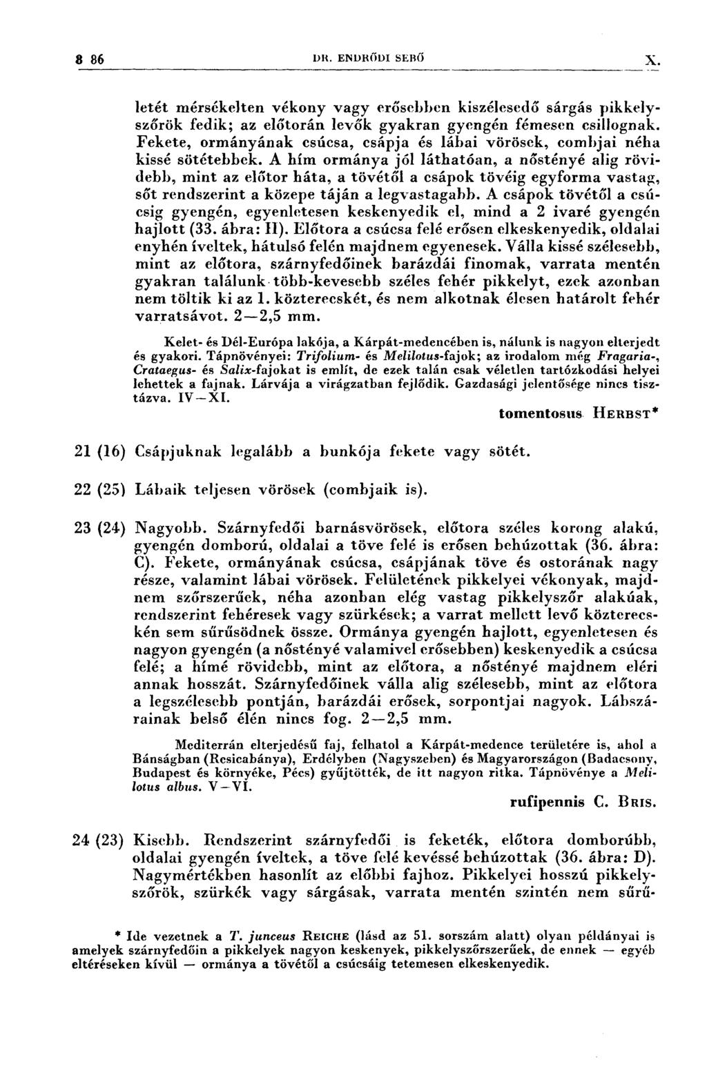 886 DR. ENDRŐDI SERŐ X 21 (16) 22 (25) 23 (24) 24. (28) letét mérsékelten vékony vagy erősebben kiszélesedő sárgás pikkelyszőrök fedik; az előtorán levők gyakran gyengén fémesen csillognak.