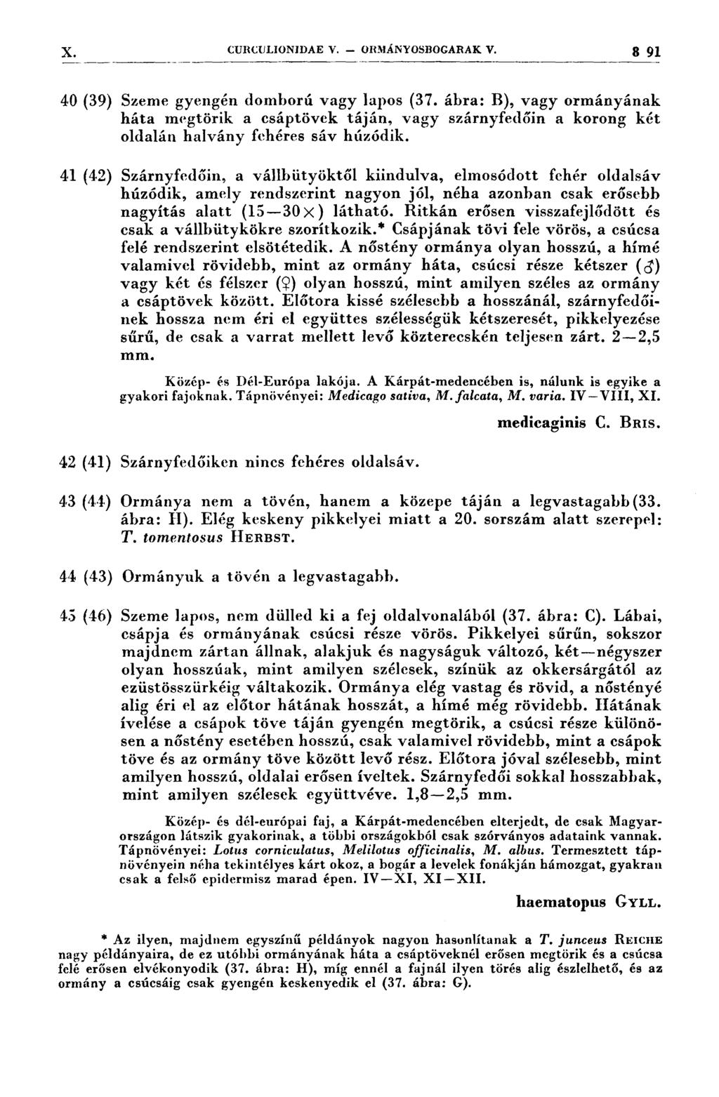 X. CURCULIONJDAE V. or1\ıányosı3o(;arak V. 3 91 40 (39) 4.1 (42) 42 (41) 4.3 (fn) 44. (43) 43 (46) Szeme gyengén domború vagy lapos (37.
