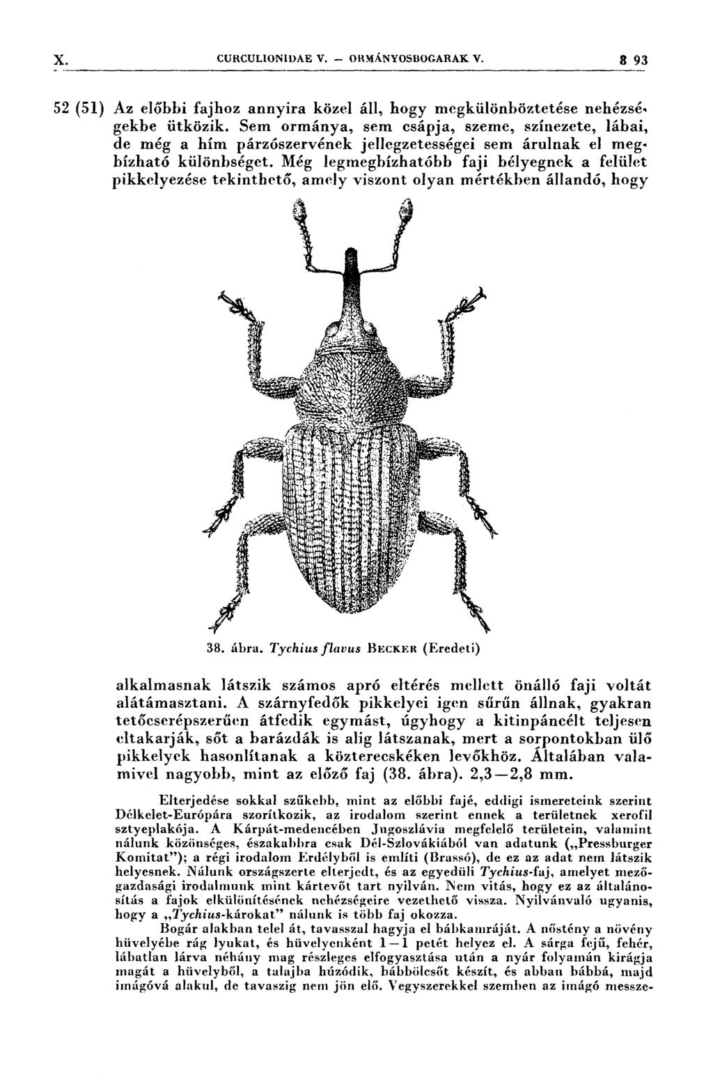 X-.. 52 (51) curcul1onınae V. ORMÁNYOSROGARAK V. 3. 93,f f f f; i ff r ':' f fffı; Í f:,f,, ff* Az előbbi fajhoz annyira közel áll, hogy megkülönböztetése nehézségekbe ütközik.