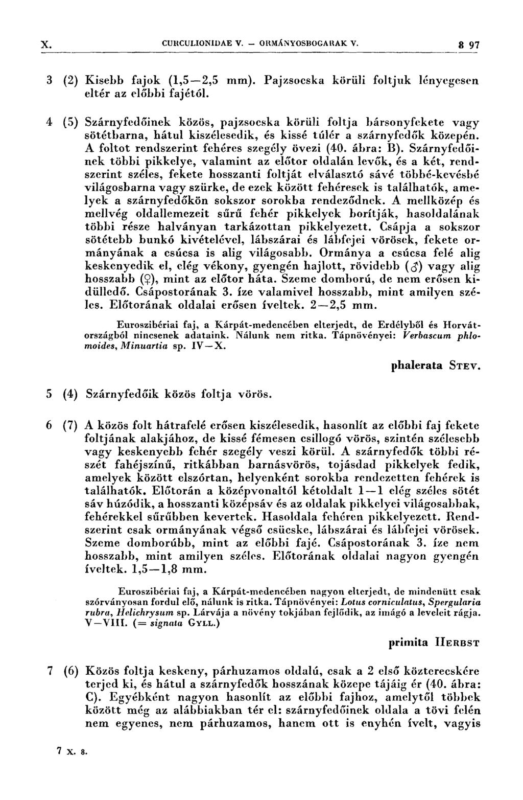 CURCULIONIDAE v.. ORMÁNYOSBOGARAK v. 3 97 3 (2) 4. (5) 5 (4) Ő (7) 7 (6) Kisebb fajok (1,5--2,5 mm). Pajzsocska körüli foltjuk lényegesen eltér az előbbi fajétól.