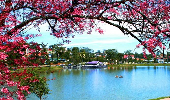 Phong Nha Nemzeti Park, Dong Hoi, Hue, Da Nang, Hoi An, Quang Ngai, Quy Nhon, Nha Trang: Jó hosszú lista, de egy majdnem egységes időjárású körzet.