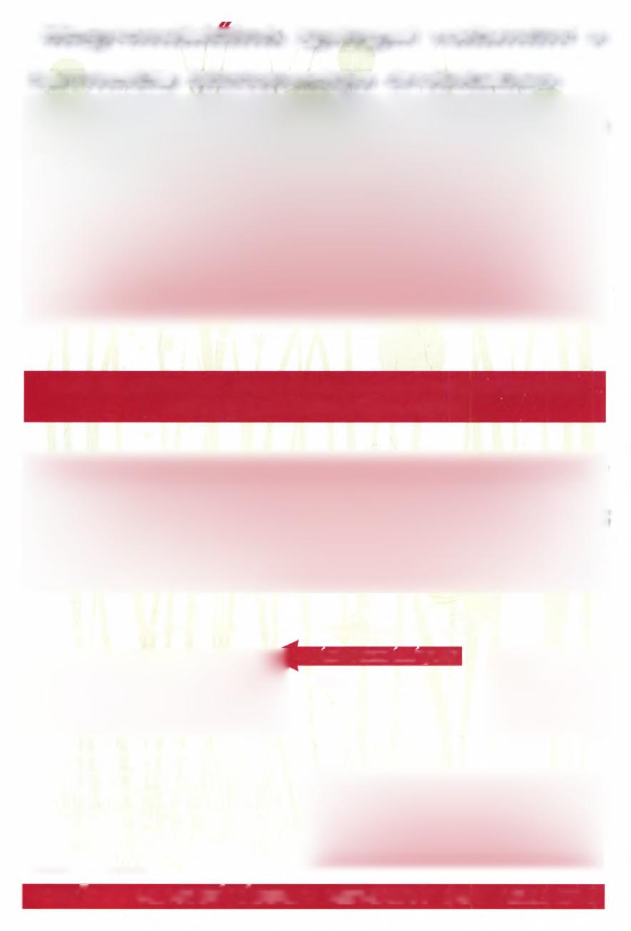 Megrendelőink igényei valamint a