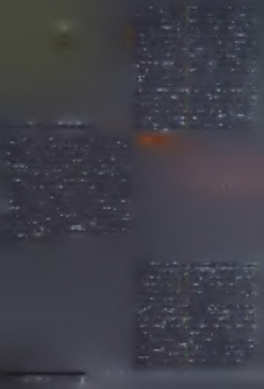 Készített plakátot, bélyegblokkot, de nevéhez fűződik a világ legkisebb méretű újságjainak elkészítése.