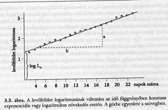 = tengelymetszet Az exponenciális növekedési forma általános, de csak korlátolt ideig tarthat!!!! Szigmoid növekedési görbe 1. A növekedés kezdeti lassú szakasza (lag fázis) 2.