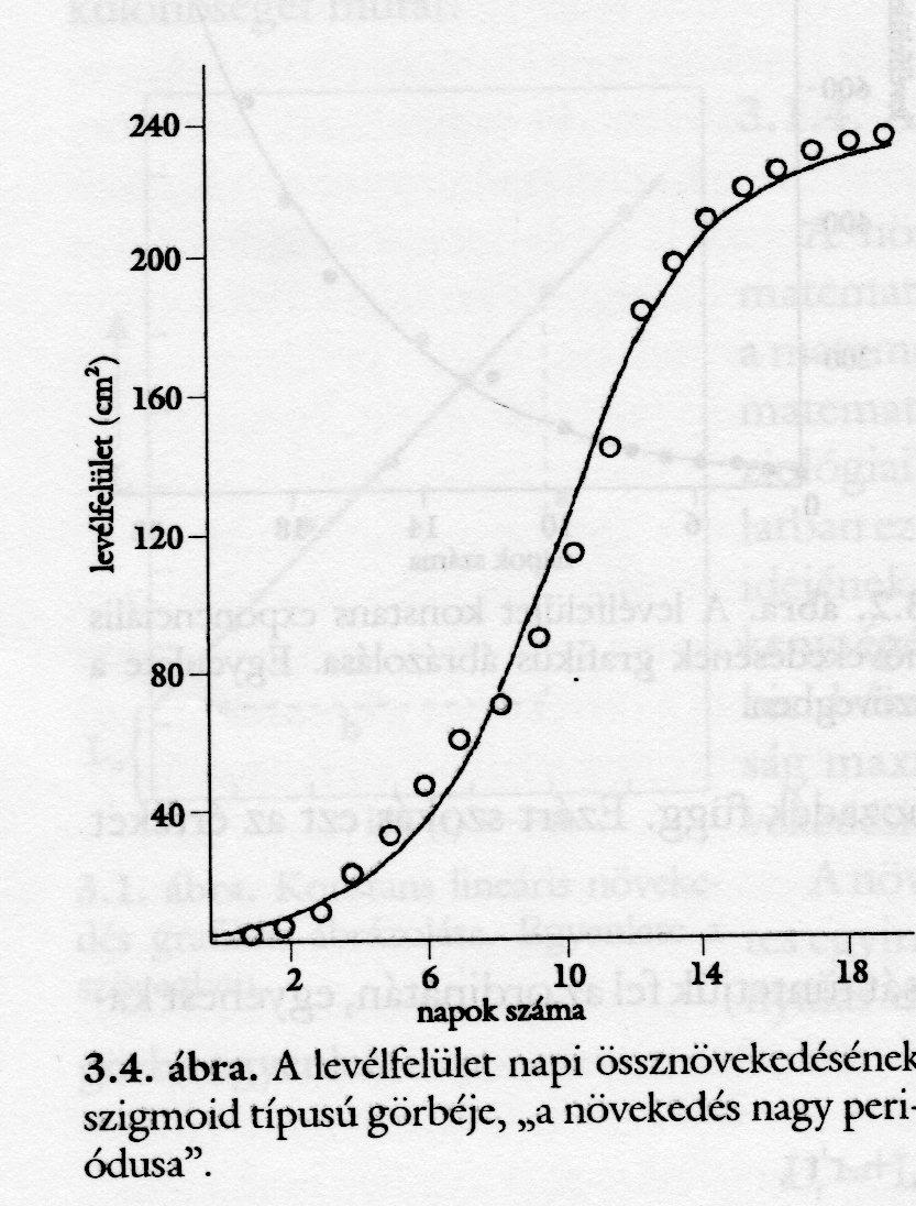 Telitıdési szakasz a növekedés az adott fiziológiai és környezeti feltételek közötti maximumhoz közelít A növekedés kinematikai elemzése A növény növekedési folyamata a csúcsi