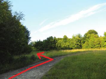 Tovább haladunk előre, felfelé még 170 m-t, elhagyjuk a Szentimrei-villát.