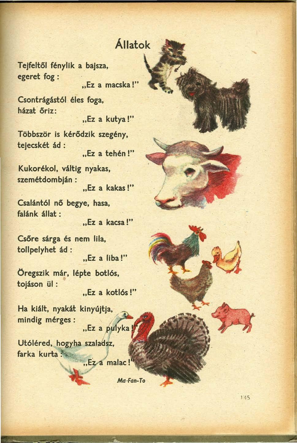 """'--- ",". - - '".' J Tejfeltől fénylik a bajsza, egeret fog: " Ez a macskl" a. Csontrágást61. éles foga, házat őriz: "Ez a kutya!