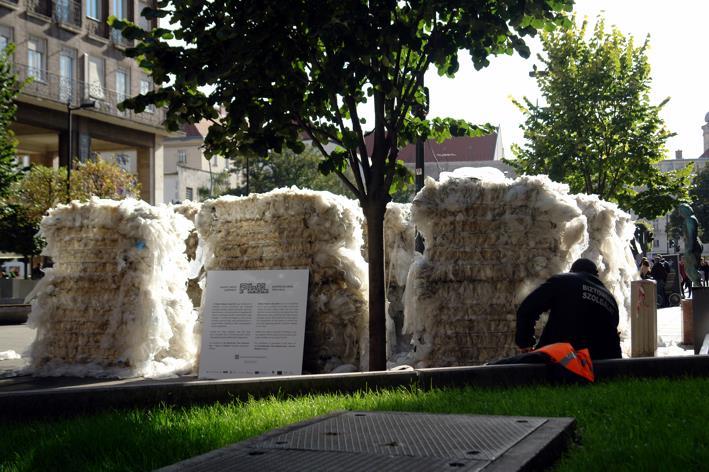 Természettudományi és Technológiai Kar, Ökológiai Tanszék, Debrecen NAIK Agrár-környezettudományi Kutatóintézet, Budapest Szent István Egyetem MKK
