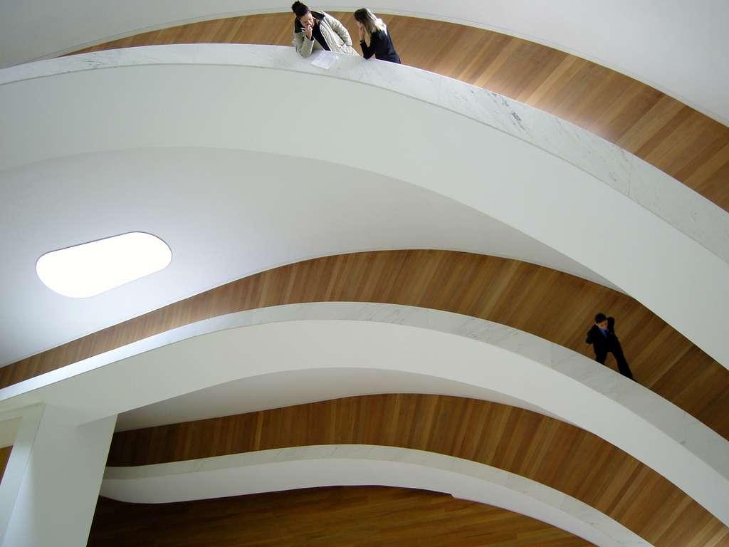 ALVARO SIZA Art