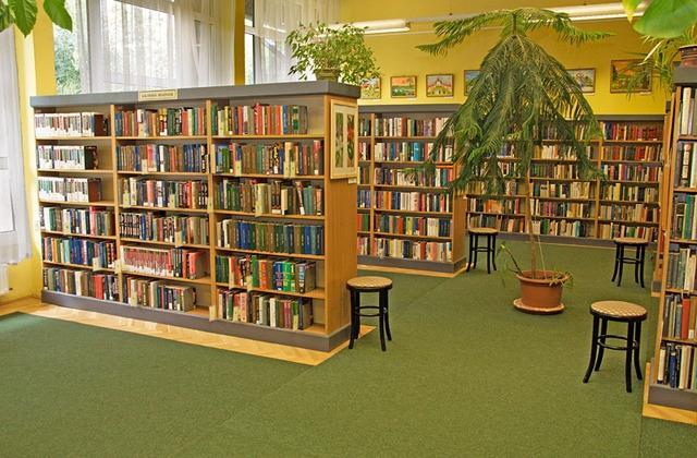olvasnivaló van - összevissza rohangálnak - nem tudnak viselkedni, köszönni A könyvtár: - egy unalmas hely, ahol csak olvasni lehet - oda csak a stréberek járnak - nem