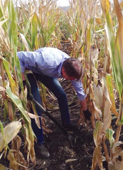 DEMO FARM PROJEKT Az AGRO.bio többek között feladatul tűzte ki magának, hogy közelebb hozza, kézzelfoghatóbbá tegye a talajbaktériumok világát a felhasználók felé.