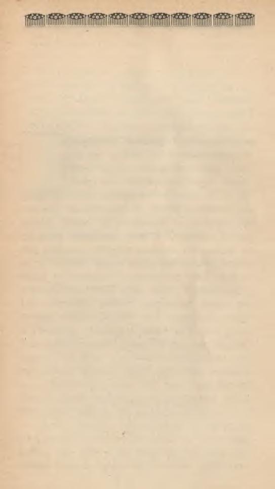 Dugonics-Társaság 1924 március 25.-én tartott évi rendes közgyűlése Szalay József dr.