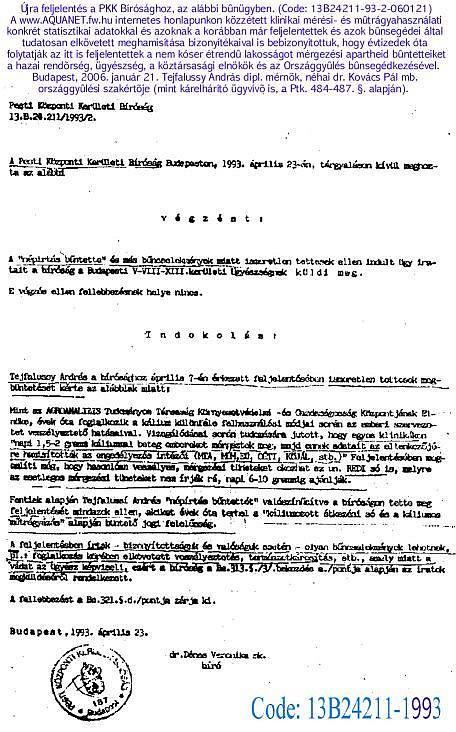 A Pesti Központi Kerületi bíróság egyik tisztességes bírája által az ügyben felsorolt olyan bűncselekmények, amelyeket