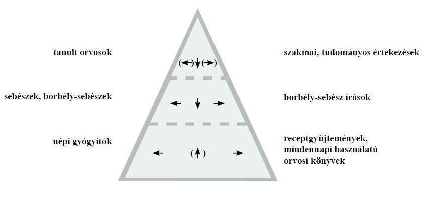 tudományosabb elvárások megjelenése, és ezzel az orvosi szövegek felhasználói szintek szerinti rétegződése, ami a magyar orvosi nyelv kezdeteitől fogva a mai napig megmutatkozik a szövegtípusok és a